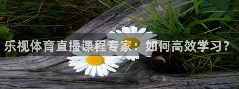 飞速体育高清直播：乐视体育直播课程专家：如何高效学习？