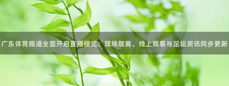 nba飞速直播在线直播：广东体育频道全面开启直播模式：现场观赛、线上观看与足坛资讯同步更新