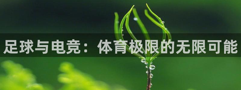 飞速足球直播官网
