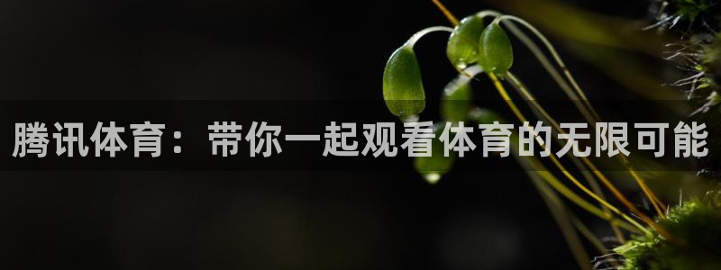 飞速 直播