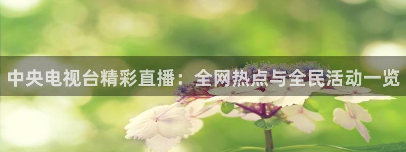 飞速直播体育app