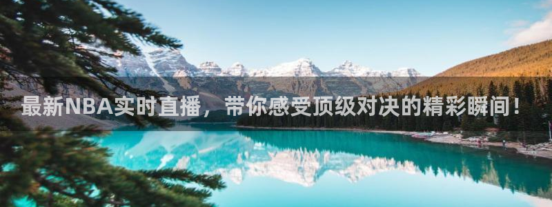 高速直播飞速体育：最新NBA实时直播，带你感受顶级对决的精彩瞬间！